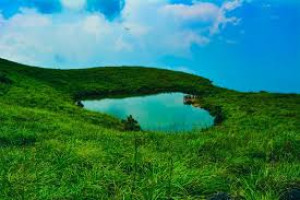 Wayanad : First level destination