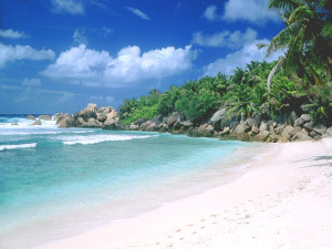Goa Paradise : Palolem and Agonda[ Accomodation Per Pax]